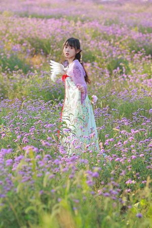 两个媳妇和公么完整文字