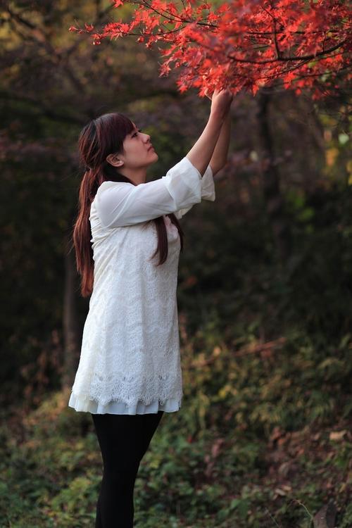 临江仙电视剧完整版27