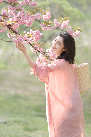 麻豆影视在线直播视频